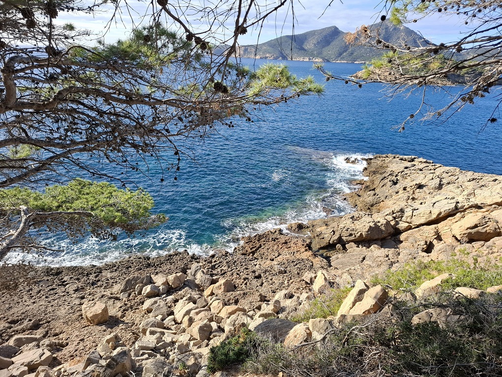 Die heilende Kraft der Elemente